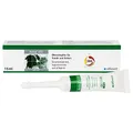 Produktbild: Alfavet Actea OTO, zur Pflege und Reinigung des äußeren Gehörgangs von Hund und Katze, Ohrentropfen Emulsion 15ml