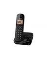 Produktbild: Panasonic schwarz Telefon Funk (KX-TGC420GB)