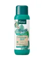 Produktbild: KNEIPP AROMA-PFLEGESCHAUMBAD ERKÄLTUNGSZEIT 400 ml NEU