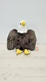 Produktbild: Wild Republic 10919 Weißkopfseeadler 30 cm Kuscheltier Plüschtier