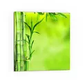 Produktbild: DEQORI Küchenrückwand Glas | Motiv Grüne Bambushalme | 60x60 cm | Bad- oder Herd-Rückwand | Herdblende Spritzschutz für Küche & Badezimmer | moderne Deko für Fliesenspiegel