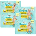 Produktbild: 4x 33 = 132 Stück Pampers Premium Protection Größe 1 Mini 2-5kg Windeln