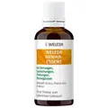 Produktbild: ARNIKA ESSENZ 50ml PZN 70880