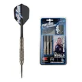 Produktbild: Target Darts Phil Taylor Power Silverlight Steel Tip Dartpfeile (22gr), silber 22g