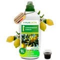 Produktbild: Purgrün Bio Zitronenbaum Dünger, NPK 3+2+6, Rohphosphat, 1 Liter