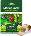 Produktbild: Legona® Marienkäferlarven gegen Blattläuse | 100 Marienkäfer-Eier für 10 m² | Marienkäfer Larven | Marienkäfereier | Blattläuse bekämpfen