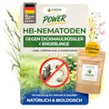 Produktbild: GREEN GUARDIA Power HB-Nematoden gegen Dickmaulrüssler & Engerlinge - 250 Mio. (500m²) -biologische Schädlingsbekämpfung, umweltfreundlich, chemiefrei.Einfach anzuwenden &Sicher für Mensch&Tier