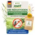 Produktbild: POWER HB-Nematoden gegen Dickmaulrüssler 250Mio für 500 m²,&Engerlinge bekämpfen