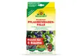 Produktbild: Neudorff Klebefalle Neudomon PflaumenmadenFalle 1 Stk., schützt Pflaumen & Zwetschen vor Madenbefall