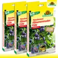 Produktbild: Neudorff Neudomon 3 Sets PflaumenmadenFallen