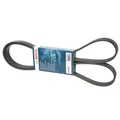 Produktbild: BOSCH Keilrippenriemen BMW VW PEUGEOT 2,0 3,0 03C260849A 11288507415 2521237161