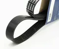 Produktbild: BOSCH Keilrippenriemen 1 987 947 548 - 6PK1698