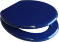 Produktbild: VCM WC Sitz Toilettendeckel Klodeckel Toilettensitz Deckel Brille Klobrille Ascoly Holzoptik mit stabilem Holzkern Blau