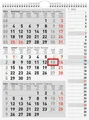 Produktbild: Rido Dreimonatskalender 30x39cm grau (2026) (Wandkalender / 3-Monatskalender)