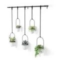 Produktbild: 1018086-660 - TRIFLORA Großer Hängeblumentopf 5er Set, weiß