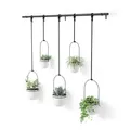 Produktbild: Umbra Triflora Hängeblumentopf für Fenster, Indoor-Kräutergarten, 5er-Set, Weiss/Schwarz