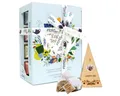 Produktbild: English Tea Shop Teebox ETS Tee Mix Geschenkset 12 Stk. Collection Pyramiden Teegenuss