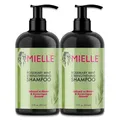 Produktbild: Mielle Organics Haarshampoo Rosmarin Mint für Haarwachstum