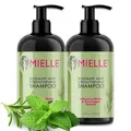 Produktbild: P-Beauty Rosmarin Minze Shampoo, mit Biotin 2x355ml - stärkendes Haarshampoo - Shampoo für Haarwachstumm & Haarausfall - Haarpflege & Kopfhautpflege - Stärkungsshampoo - Schuppenshampoo