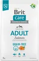 Produktbild: Brit Care GrainFree Adult Dog Lachs 3 kg