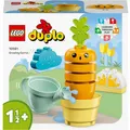 Produktbild: LEGO Wachsende Karotte (10981) (10981)