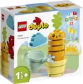 Produktbild: LEGO® DUPLO® Creative Play Wachsende Karotte 11 Teile 10981