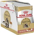 Produktbild: Royal Canin Maine Coon Adult | 12 x 85 g | Nassfutter für Katzen | Speziell auf die Bedürfnisse von Maine Coon Katzen abgestimmt | Mit angepasstem Energiegehalt