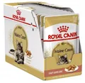 Produktbild: 9003579001202 ROYAL CANIN Maine Coon Adult - nassfutter für Katzen - 12 x 85g Ro
