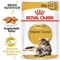 Produktbild: ROYAL CANIN Maine Coon Adult Katzenfutter nass 12 x 85 g