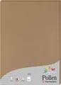 Produktbild: Clairefontaine Pollen DIN-A4 - 210x297 Kraftpapier 200g/m² Kartonbraun 25 Blatt