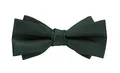 Produktbild: axy Herren Fliege Schleife, bereits gebunden, Konfirmation verstellbar Hochzeitsfarbe FLI4B (Grün)