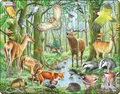 Produktbild: Larsen Puzzle Puzzle - Europäischer Wald, Puzzleteile