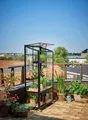 Produktbild: Gewächshaus Balkon Juliana Urban City Greenhouse 0,32m² 4mm SHG