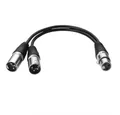 Produktbild: euroharry 30cm Microfoonstekker 3pin XLR naar Dual 2 XLR Mannelijke Y Splitter Audio- & Video-Kabel