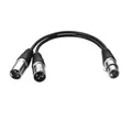 Produktbild: 30cm XLR Splitter Kabel Mikrofon Female to Dual Male Stecker Y Splitter Kabel...