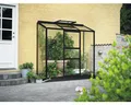 Produktbild: Anlehngewächshaus Halls Altan 3 Blankglas 3 mm 194 x 69 cm schwarz