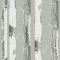 Produktbild: home style Tapete 285413 - Grüne Papiertapete mit Birkenstämmen, Birkenwald - 10,05m x 0,53m