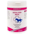 Produktbild: EQUOLYT Seealgenmehl Pulver vet. 750 g