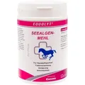 Produktbild: Equolyt Seealgenmehl Pulver vet. 750 g