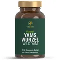 Produktbild: Vitactiv - YAMSWURZEL WILD YAM