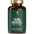 Produktbild: YAMSWURZEL WILD YAM Kapseln
