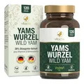 Produktbild: VITACTIV Yams Wurzel, Wild Yam - 120 Kapseln (2 Monatspack) - 880mg Yamswurzel-Extrakt pro Tagedosis, 20% bzw. 176mg Diosgenin - Für körpereigenen DHEA-Spiegel, bei Menopause (Wechseljahren)