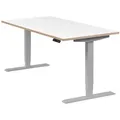Produktbild: boho office® Schreibtisch Homedesk, Silber elektrisch höhenverstellbar - Tischplatte Weiß 160 x 80 cm silberfarben 160 cm x 80 cm