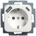 Produktbild: Busch-Jaeger R SI SCHUKO/2XUSB-STD C A.WS / BUSCH 20 EUCB2USBAC-214 2CKA002011A6296