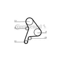 Produktbild: CONTITECH CT1012 K2 Timing Belt Kit CT1012K2