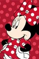 Produktbild: Jerry Fabrics Minnie Mouse Flauschdecke Schmusedecke Kuscheldecke 100 x 150 cm