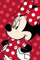 Produktbild: Wohndecke Mikroflanelldecke 100x150 cm Kuscheldecke aus 100 % Polyester, Disney Minnie Mouse