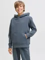Produktbild: Jack & Jones Junior Kapuzensweatshirt JJESTAR JJ SWEAT HOOD NOOS JNR
