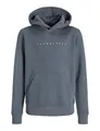 Produktbild: JACK & JONES JUNIOR Jjestar Jj Sweat Hood Noos Jnr