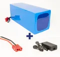 Produktbild: Akku 48V 40Ah 1920Wh Lithium-Ion Akkupack Scooter E-Bike Pedelec Battery 60A BMS